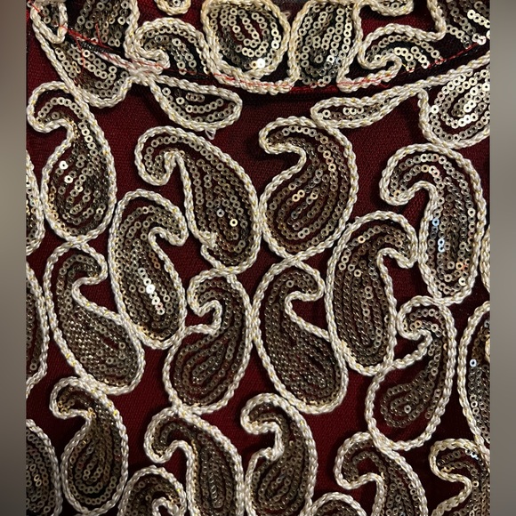 The Perfect Roaring 20’s Paisley Sequins Fringed Dress - Picture 5 of 6